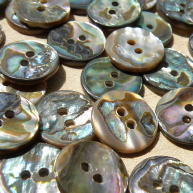 Face of Abalone shell buttons