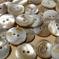 Face of Washibodo shell buttons