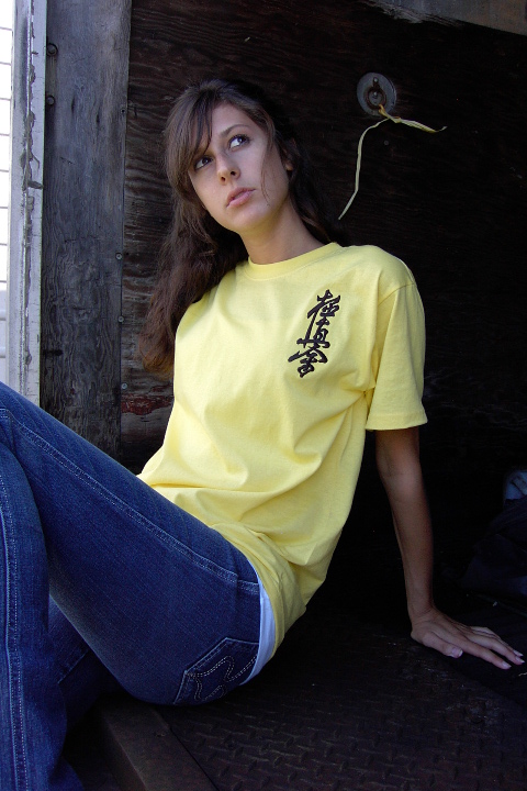 T Shirt: Custom T-Shirt embroidered with Kyokushin Kanji. Yellow, 5180 Hanes