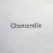 Chanterelle.JPG (157152 bytes)