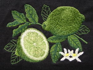 Close up of embroidered Lime Botanical, shown on 100% cotton ripstop.