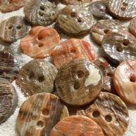 Face of Awabi shell buttons