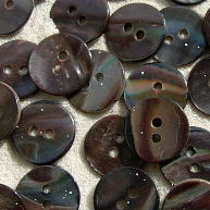 Face of Brown Mussel shell buttons