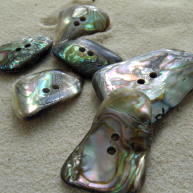 Funky Abalone shell buttons