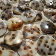 Tiger shell buttons