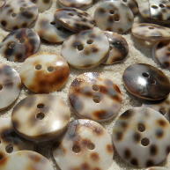 Tiger shell buttons