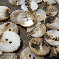 Back of Washibodo shell buttons