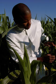 Chef Coat Style CBM103H: Shown in White, 100% cotton Supima Gabardine with a left chest tailored welt pocket.