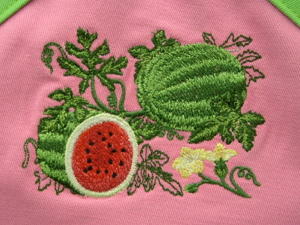 Close up image of embroidered watermelon botanical on center chest of Women's Bib apron style W742; Shown in pink & lime, 100% cotton denim.